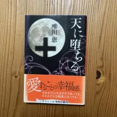 Item thumbnail for item e95771ca-f96c-4a67-97a2-c6de6f6cc81c