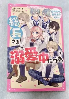総長さま、溺愛中につき。①