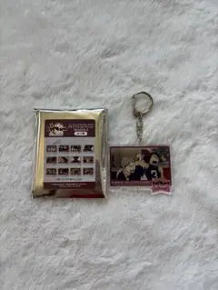 ハイキュー‼︎ トレーディングアクリルキーホルダー　メモリアルコレクション　烏野