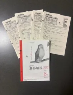 2021年度 6月 進研模試 大学入学共通テスト模試 解答解説 高3生