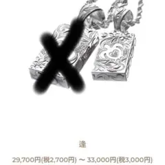 hoo ハワジュ ネックレス ジュエリー チェーンなしのサムネイル