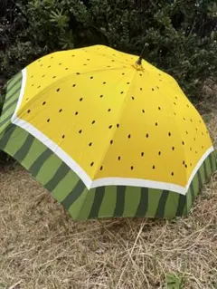 加茂水族館購入☆雨空を泳ぐクラゲの傘 3本セット☆おまけ付 - メルカリ
