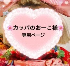 ＊カッパのおーこ様 専用ページ＊です