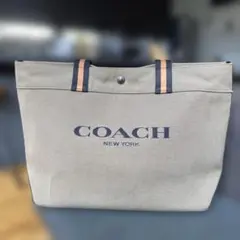 2026年最新】COACH カラー：カーキ系 メンズ トートバッグの人気