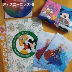 ディズニー　シール　クリアファイル　巾着袋　アナ雪
