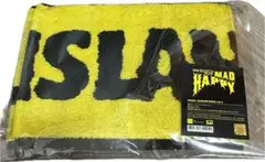 FTISLAND MAD HAPPY MADver タオルスローガン