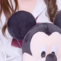 BX.ディズニー ミッキーマウス ぬいぐるみ