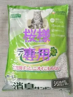 Item thumbnail for item dcb775b1-8c8f-4cf1-9df1-886c5ec89d83