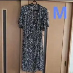 Item thumbnail for item 421760d4-c881-4001-ac02-8a6cfc807726