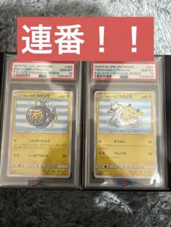 2025年最新】ヨコハマのピカチュウ psa10 連番の人気アイテム