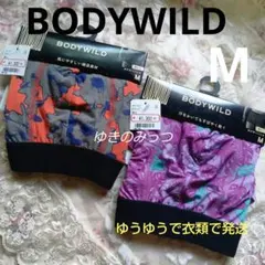 BODYWILD　ボクサーパンツ　M2枚　前とじ　GUNZE　グンゼ　綿混　エロ
