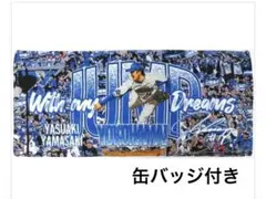 横浜DeNAベイスターズ 応援タオル 山崎康晃 19 横浜DeNAベイスターズ 応援タオル 山崎康晃 19