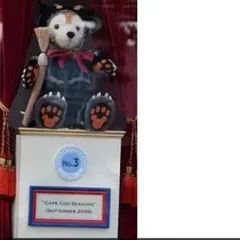 ゲリラ限定値下げ❗️初代♪【青タグ】ダッフィー コスチューム 黒猫☆