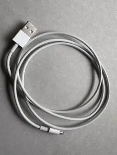 USB-A to Lightningケーブル Apple純正1m