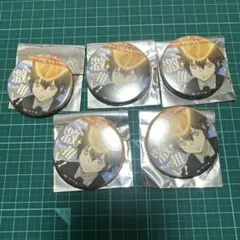 家庭教師ヒットマンREBORN！ 激推し 缶バッジ 沢田綱吉