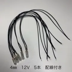麦球 むぎ球 4㎜ 12V 5本 配線付き 電球のサムネイル