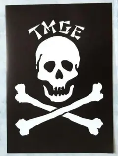 希少　THEE MICHELLE GUN ELEPHANT　フライヤー　平成