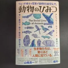 ちゃこりん様 リクエスト 2点 まとめ商品