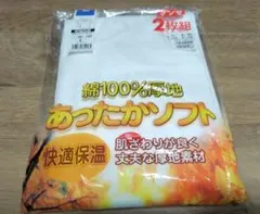 グンゼ Tシャツ