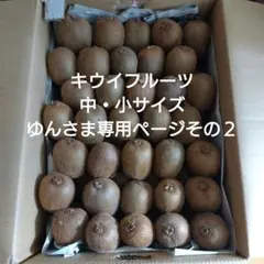 キウイフルーツ　ゆんさま専用ページその２