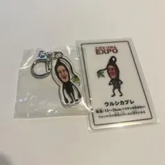 こびとづかんEXPO アクリルキーホルダー＆トレーディングカード　ウルシカブレ