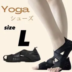 Item thumbnail for item 15effca1-7fcf-4d47-b6c9-307d790d1a84