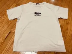 Item thumbnail for item 8e976cd2-b1bf-48c4-9c83-7f82219e6086