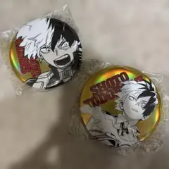 僕のヒーローアカデミア 轟焦凍 オールスター缶バッジBIG！
