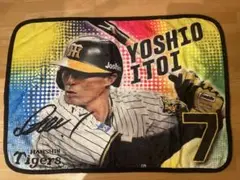 阪神タイガース　糸原嘉男