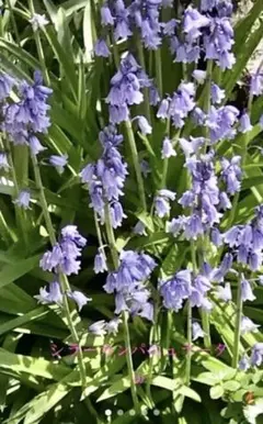 ゆんこn様 リクエスト 2点 まとめ商品