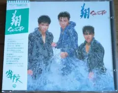 Item thumbnail for item 81f8533d-382d-45b7-b2fd-5dcaeeed914a