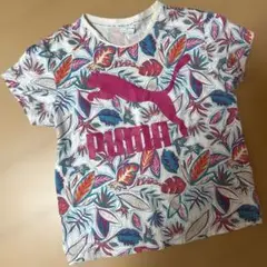 美品☆ PUMA プーマ ビッグ ロゴ 半袖 Tシャツ ☆ M