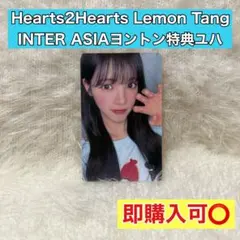 ハトゥハ インターアジア ヨントン トレカ ユハ