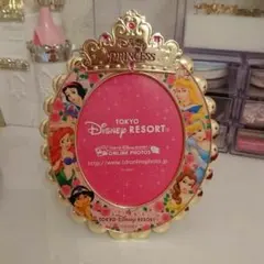 ディズニープリンセス☆フォトフレーム☆ディズニーランド