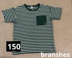 BRANSHES 緑と白のストライプTシャツ 150のサムネイル