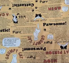 71013 生地〈ねこと英語〉