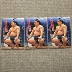 Item thumbnail for item ef787499-b3d8-49c3-a2e3-9465e3169140