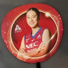 女子バレー NECレッドロケッツ川崎 佐藤淑乃 クリアポスター - メルカリ