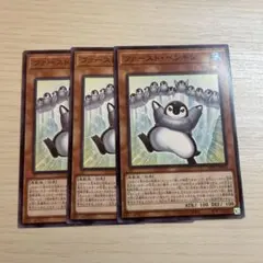 ファーストペンギン　アジア　3枚　②