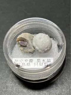 化石 モノチス モノティス 三畳紀 中生代 示準化石 志津川町 皿貝層群