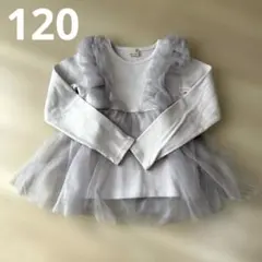 プティマイン　チュールドッキング長T☆120