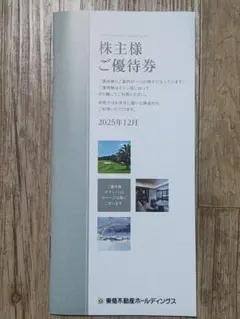 株主優待券 東急不動産ホールディングス 100株分