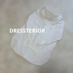 美品⭐️DRESSTERIOR スカーフカラーシャツブラウスのサムネイル