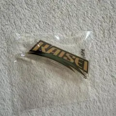 ランペ 武知海青 ネームバッジ