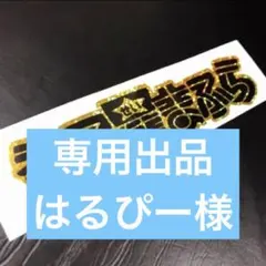 はるぴー様専用　コメ欄参照