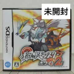 Nintendo DS テレビゲーム