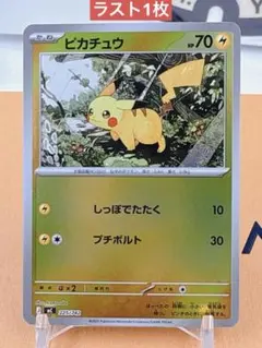 ポケモンカード ピカチュウ MC 225/742 ミラー ⑪