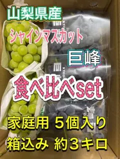 山梨県産ぶどう⭐️シャインマスカット ピオーネ⭐️食べ比べset⭐️箱