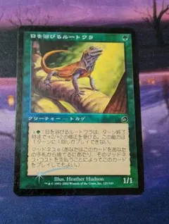 MTG 日を浴びるルートワラ 日本語版 foil 1枚 TOR版 - メルカリ