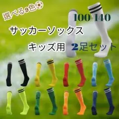 ジュニア用サッカーソックス　２足セット（9色から変更可）　キッズ　子供用